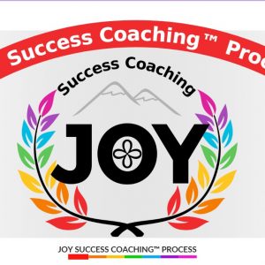 11 JOY Success Coaching Process