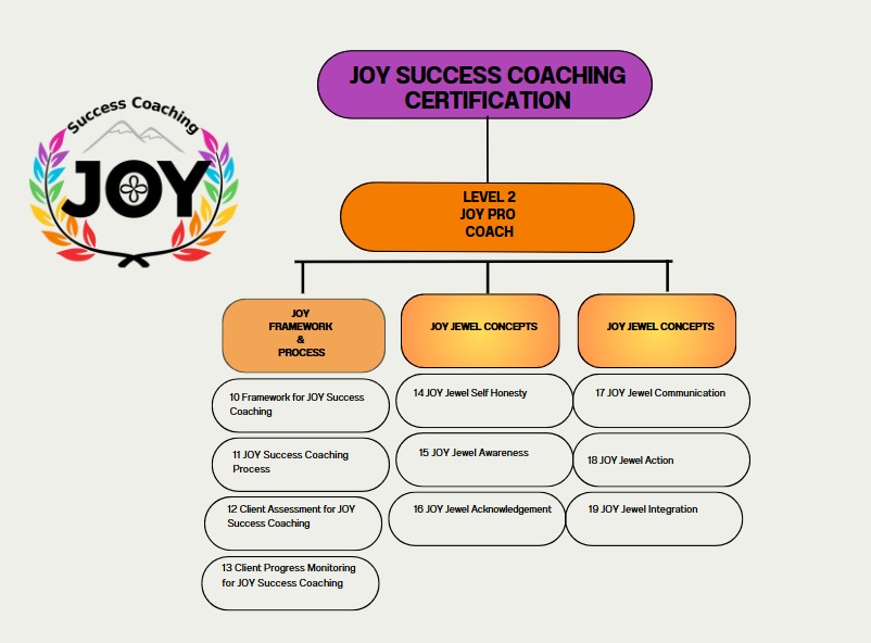 LEVEL 2 JOY PRO COACH